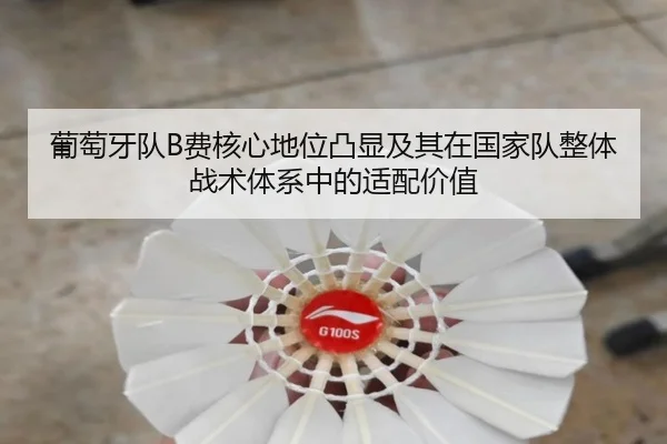 葡萄牙队B费核心地位凸显及其在国家队整体战术体系中的适配价值