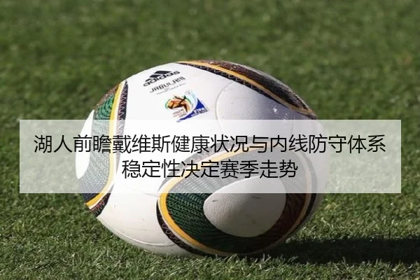 湖人前瞻戴维斯健康状况与内线防守体系稳定性决定赛季走势